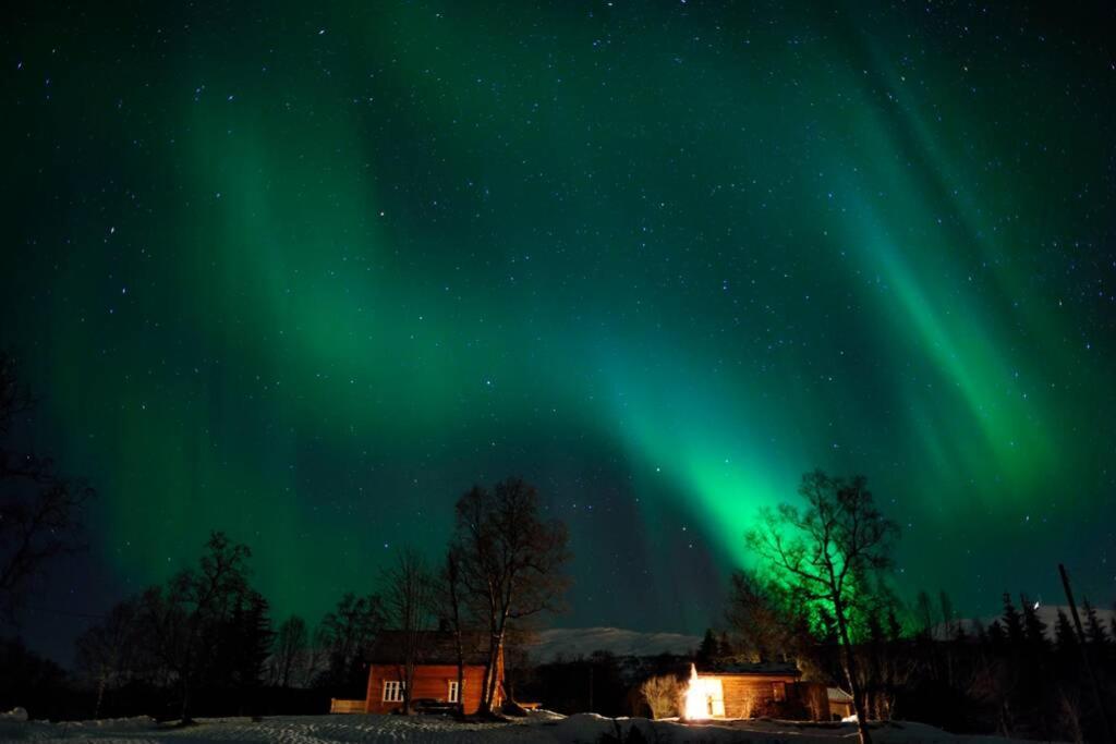 100 Years Old Norwegian Log House In Tromso Villa Dış mekan fotoğraf