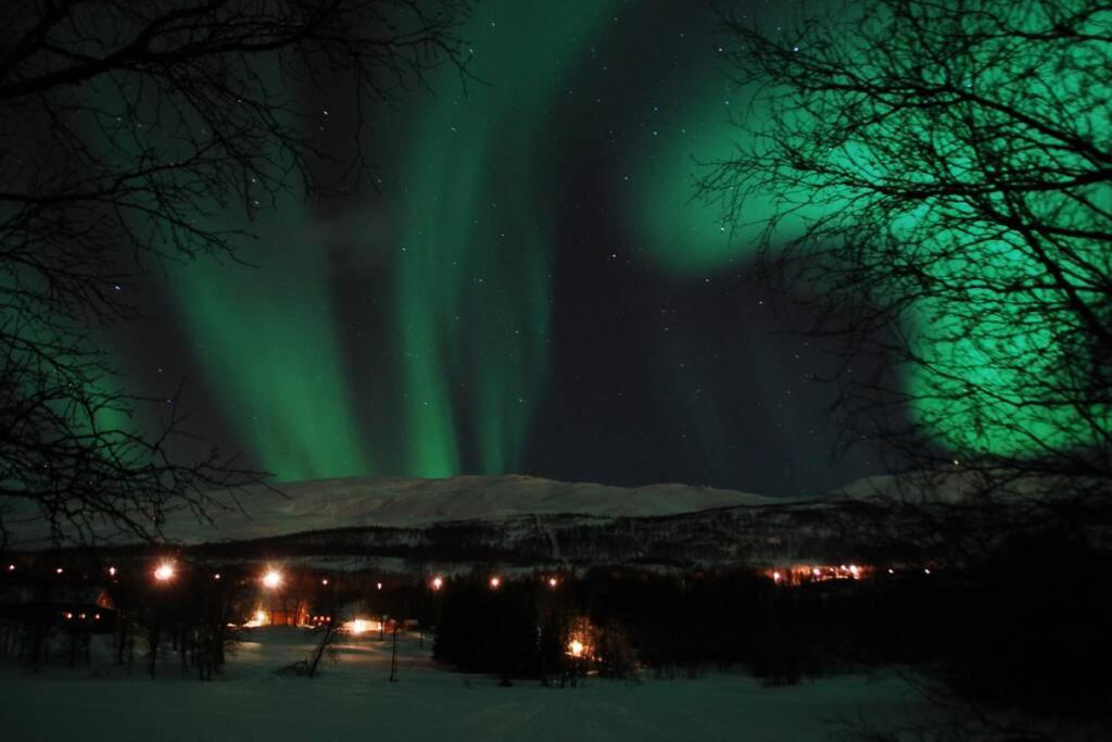 100 Years Old Norwegian Log House In Tromso Villa Dış mekan fotoğraf