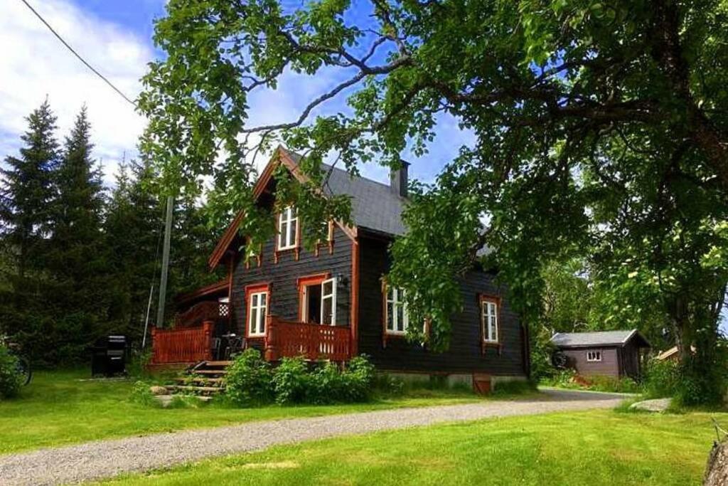 100 Years Old Norwegian Log House In Tromso Villa Dış mekan fotoğraf