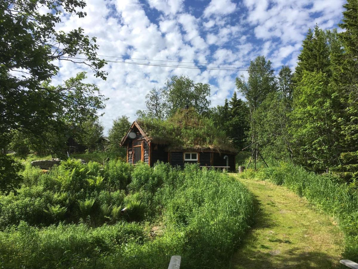 100 Years Old Norwegian Log House In Tromso Villa Dış mekan fotoğraf