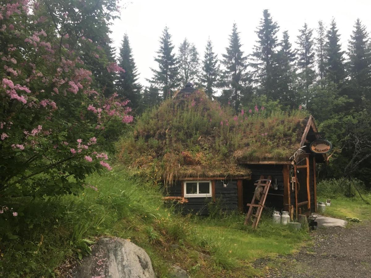 100 Years Old Norwegian Log House In Tromso Villa Dış mekan fotoğraf