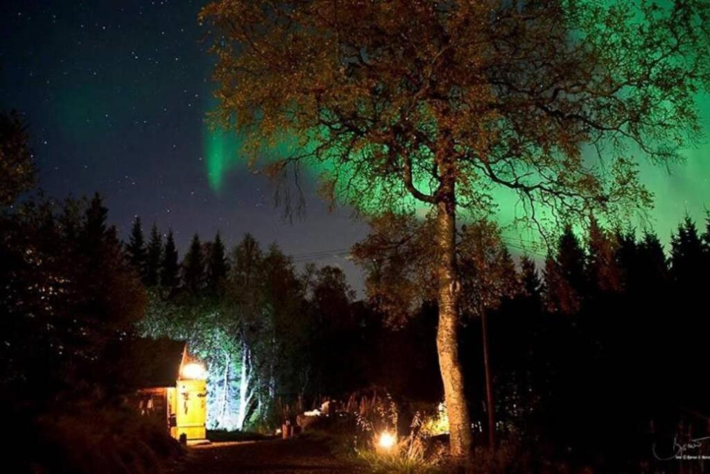 100 Years Old Norwegian Log House In Tromso Villa Dış mekan fotoğraf