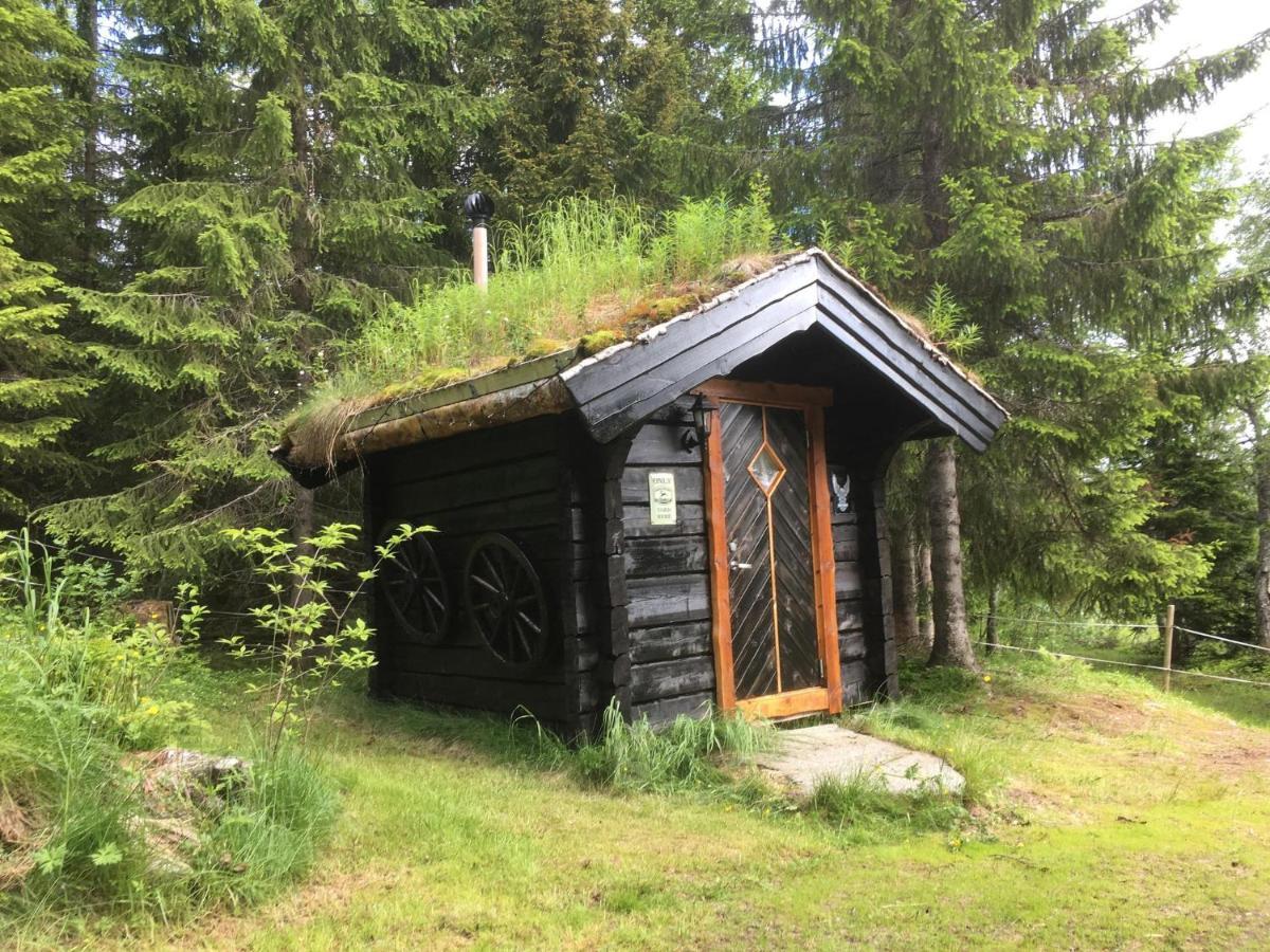 100 Years Old Norwegian Log House In Tromso Villa Dış mekan fotoğraf