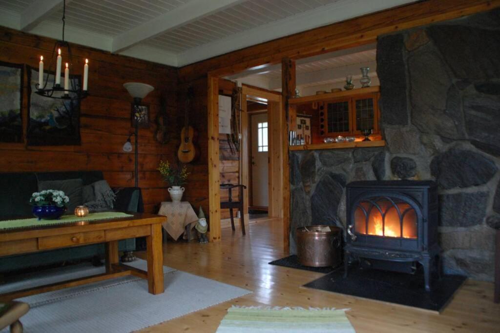 100 Years Old Norwegian Log House In Tromso Villa Dış mekan fotoğraf