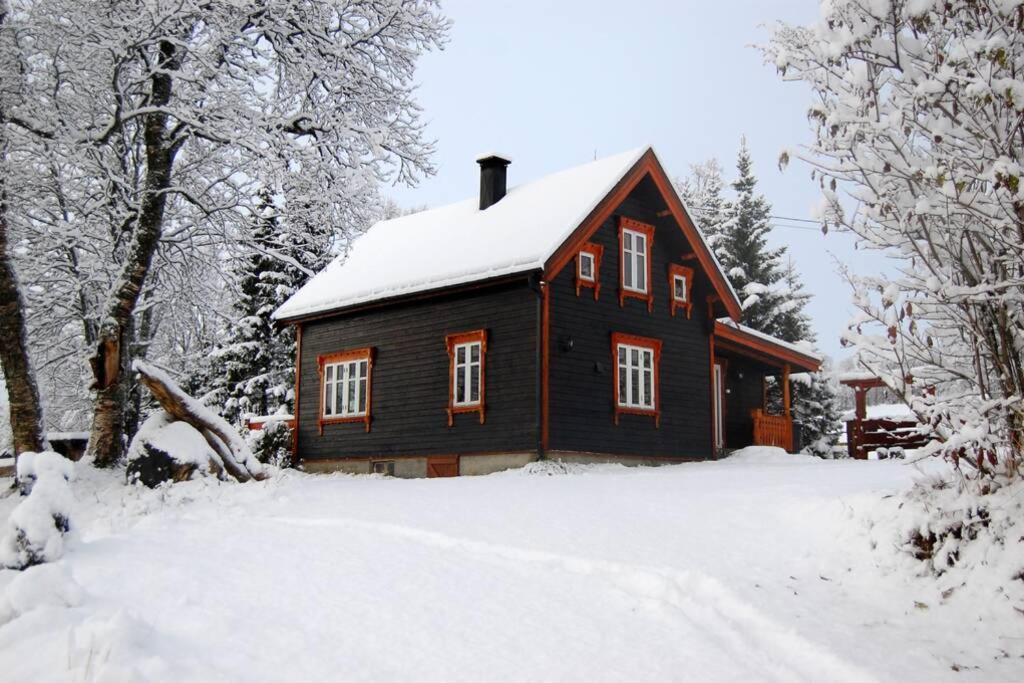 100 Years Old Norwegian Log House In Tromso Villa Dış mekan fotoğraf