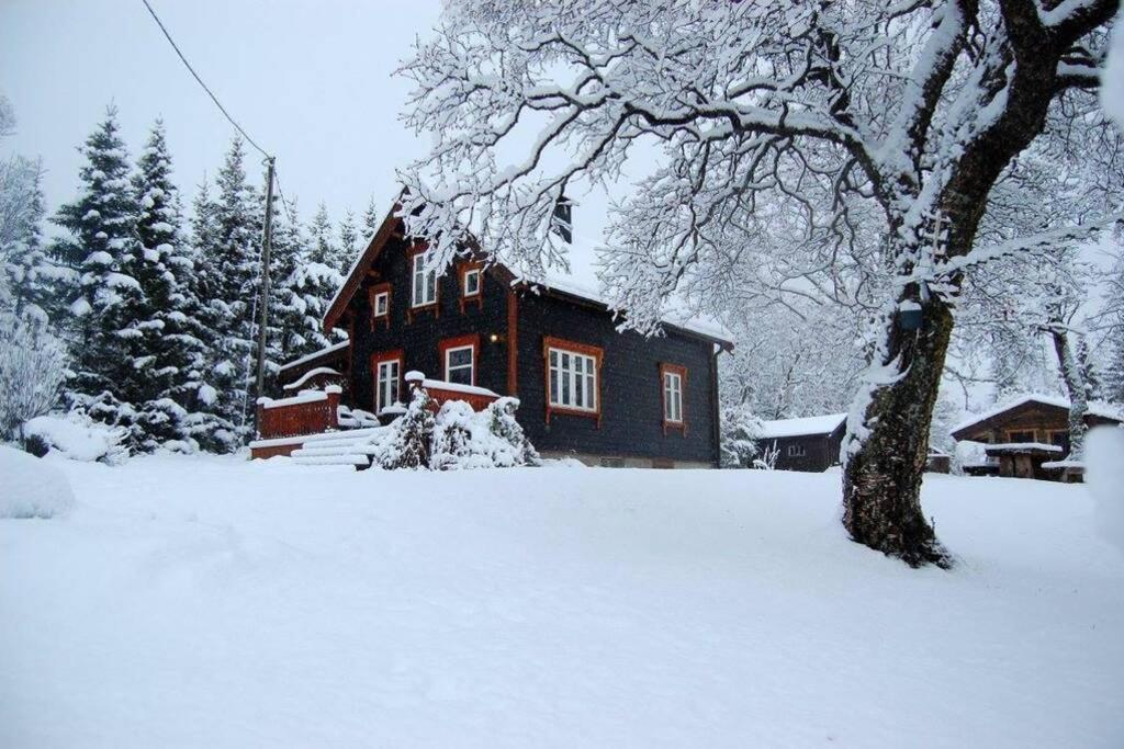 100 Years Old Norwegian Log House In Tromso Villa Dış mekan fotoğraf