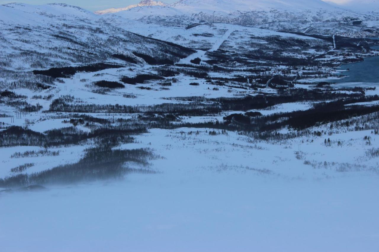 100 Years Old Norwegian Log House In Tromso Villa Dış mekan fotoğraf