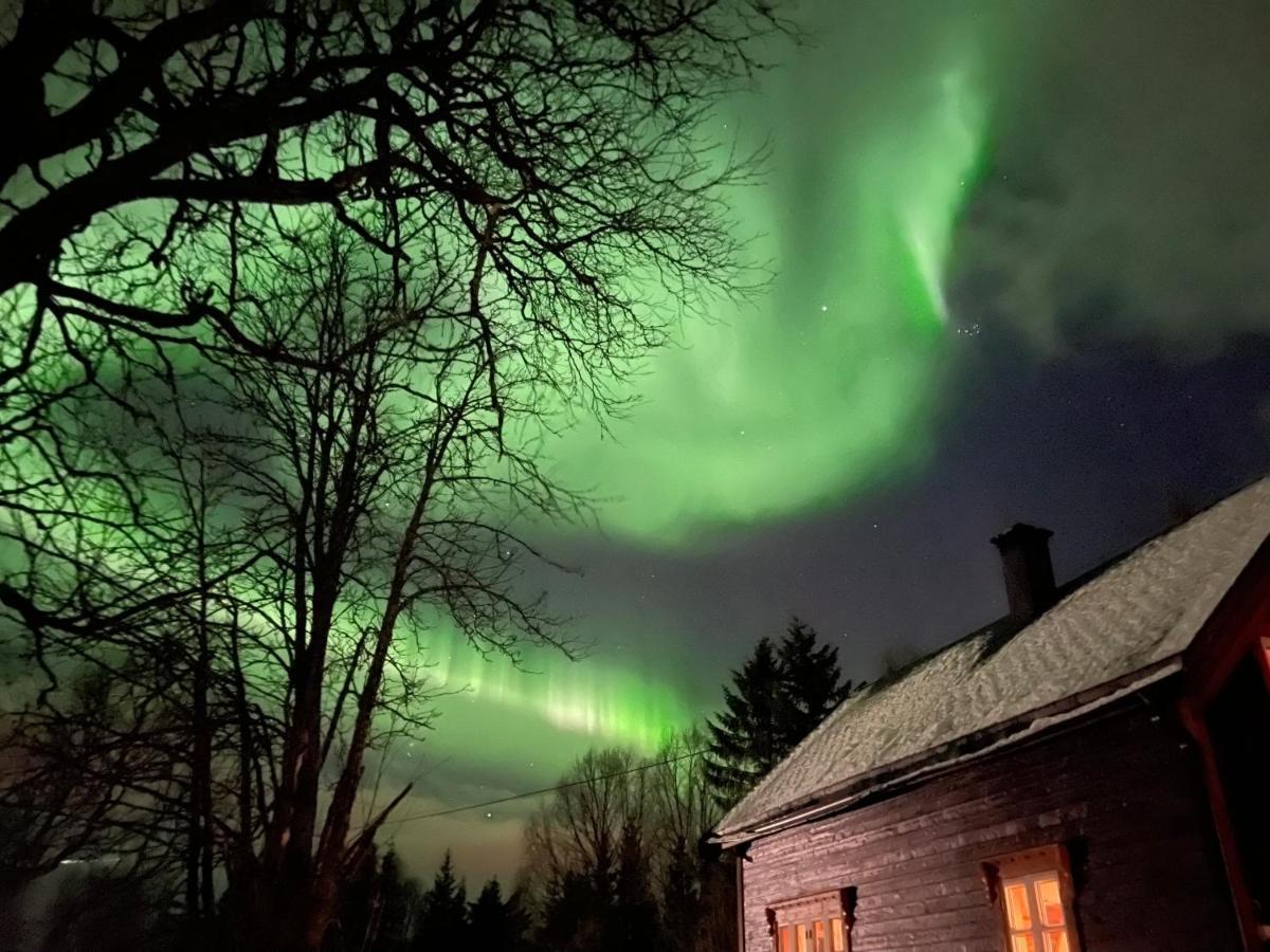 100 Years Old Norwegian Log House In Tromso Villa Dış mekan fotoğraf