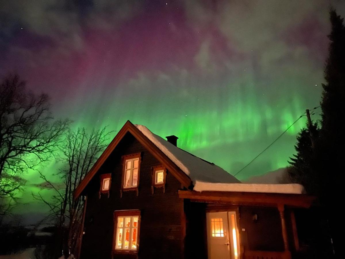 100 Years Old Norwegian Log House In Tromso Villa Dış mekan fotoğraf