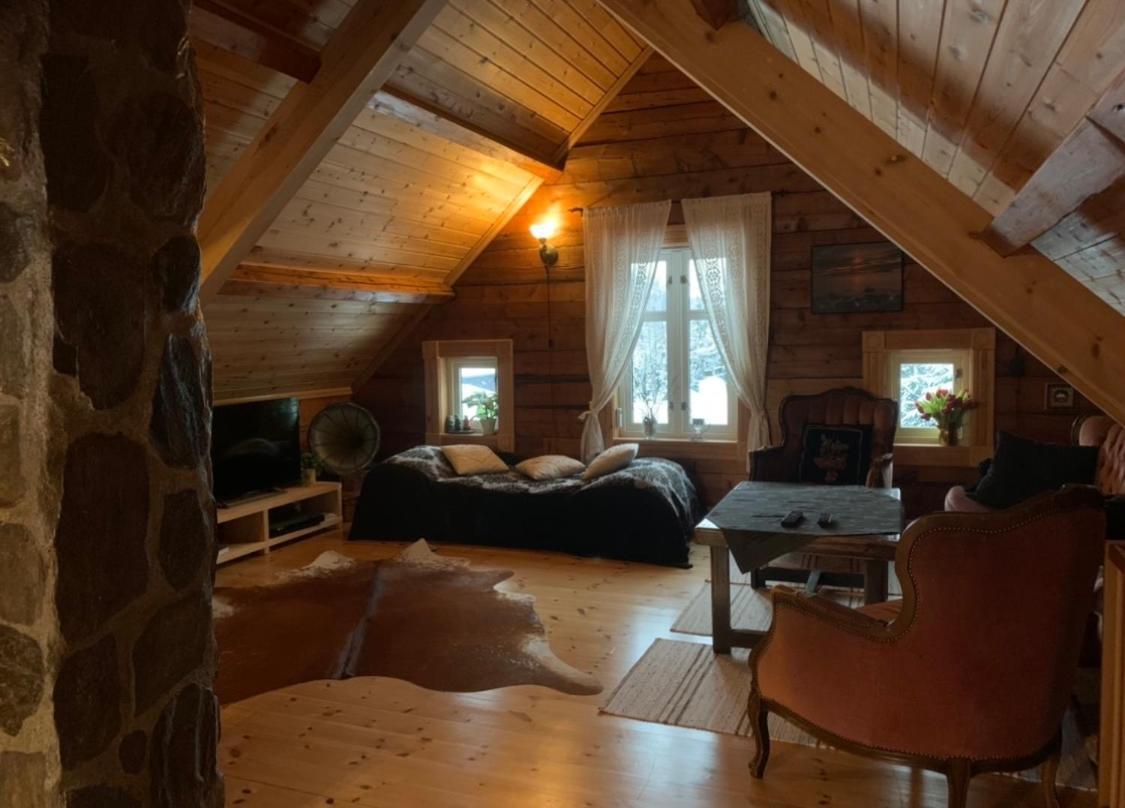 100 Years Old Norwegian Log House In Tromso Villa Dış mekan fotoğraf