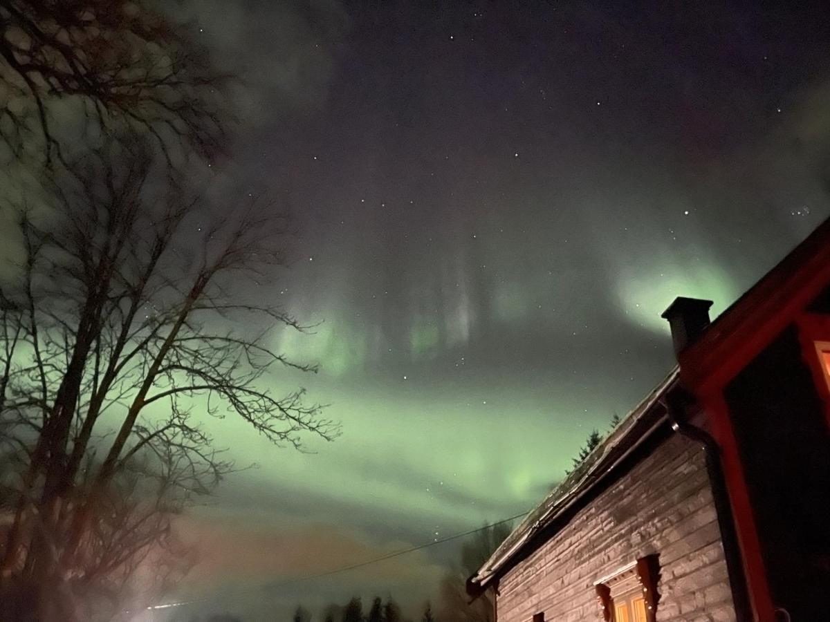 100 Years Old Norwegian Log House In Tromso Villa Dış mekan fotoğraf